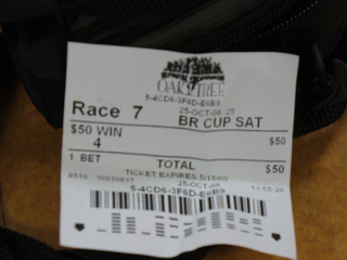 Illustration for article titled Blazing Saddles; A Day At The Breeders' Cup